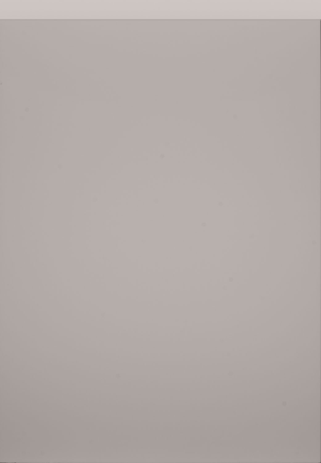 Remo Cashmere Matt Door by PWS