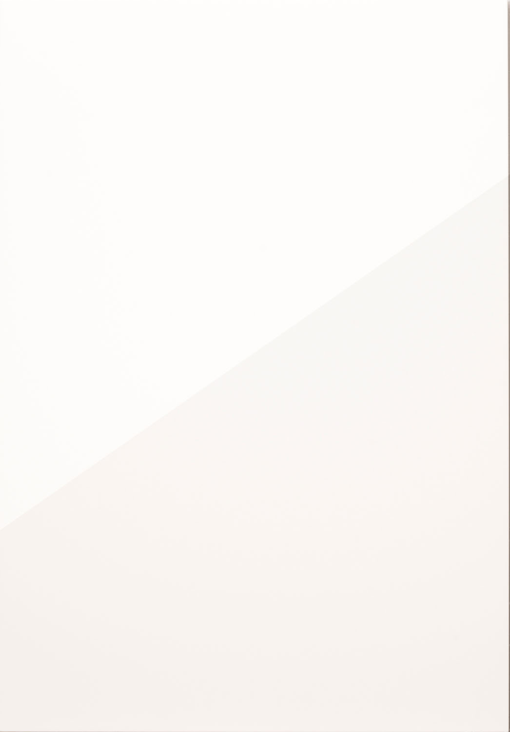 Porter Porcelain Gloss Door by PWS