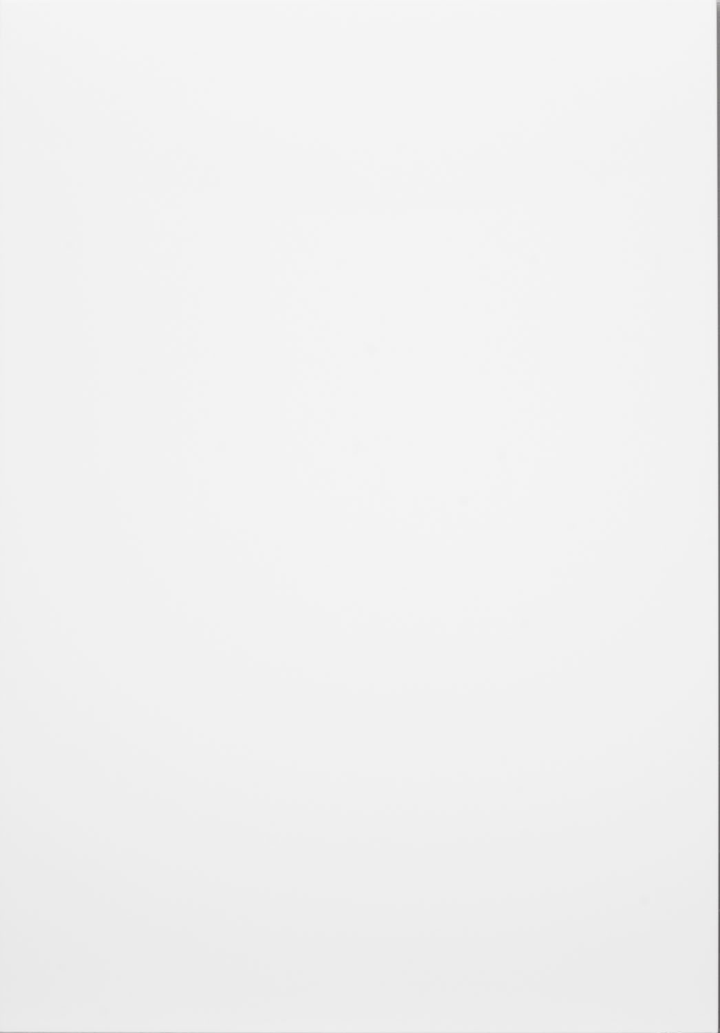 Porter White Matt Door by PWS