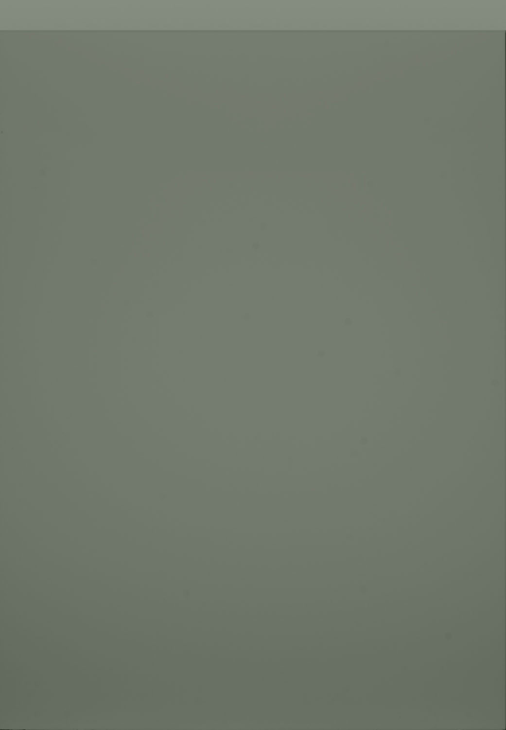 Remo Regiment Matt Door by PWS