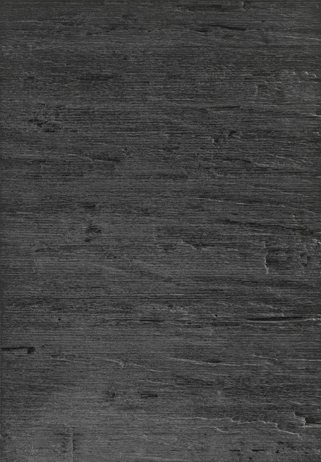 Alpina Burnt Ash Door by PWS