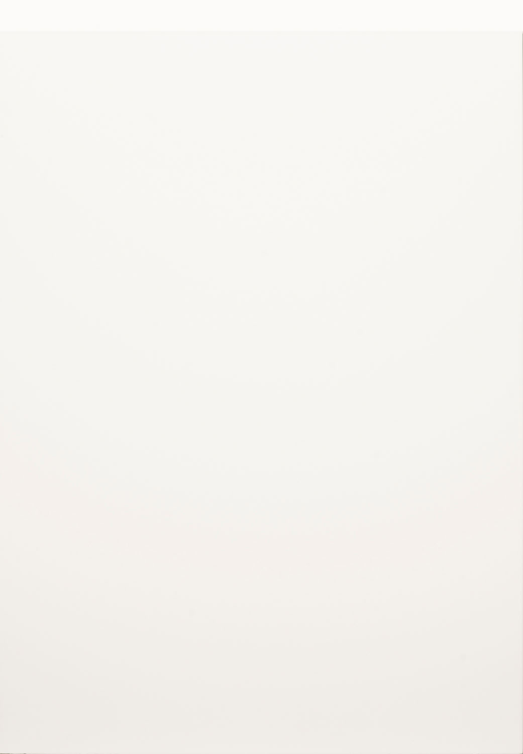 Remo Porcelain Matt Door by PWS