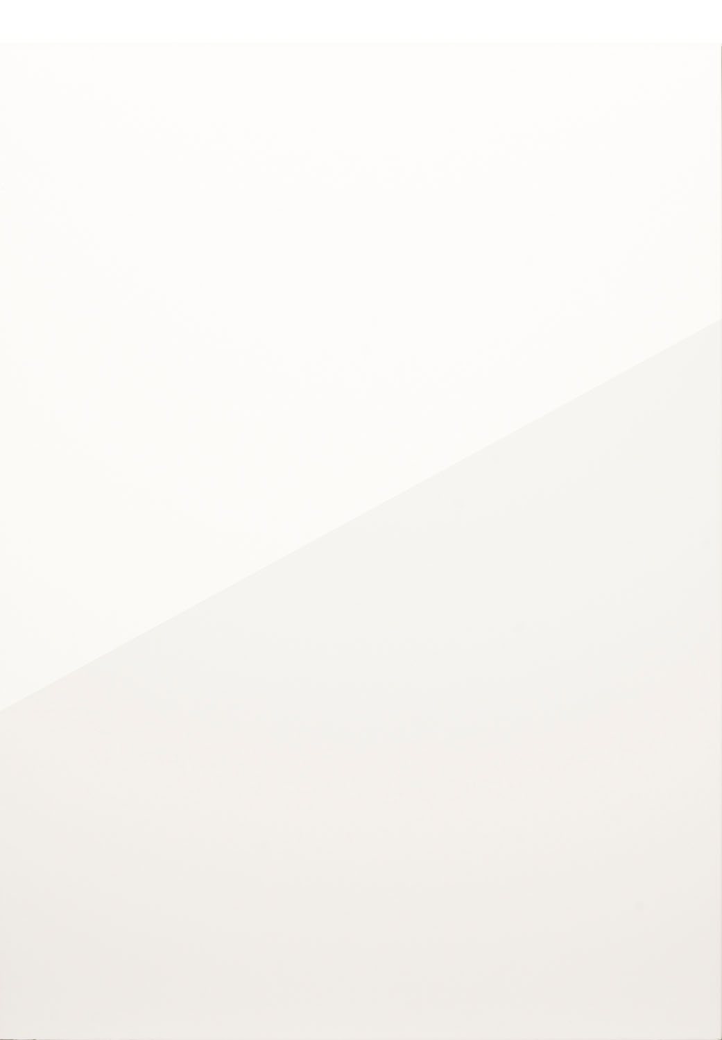Remo Porcelain Gloss Door by PWS