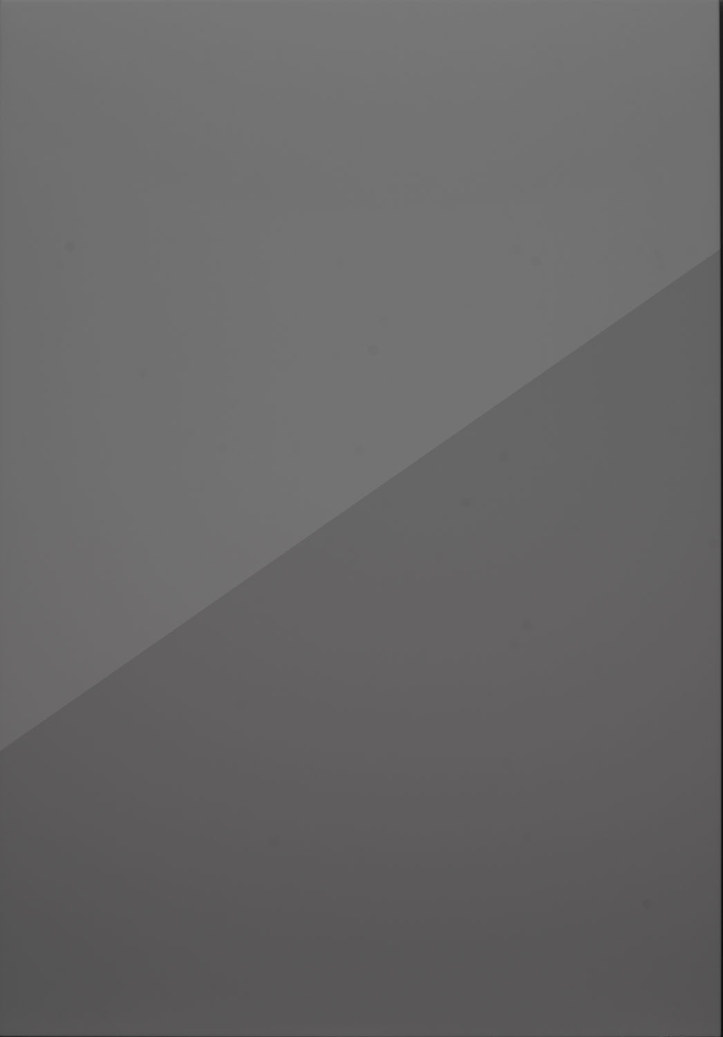 Porter Dust Grey Gloss Door by PWS